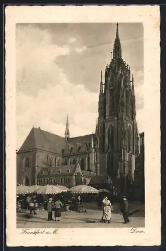 AK Alt-Frankfurt, Dom mit Markt