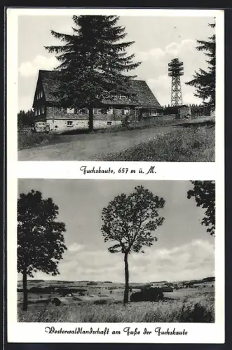 AK Willingen / Westerwald, Partie an der Fuchskaute, Westerwaldlandschaft