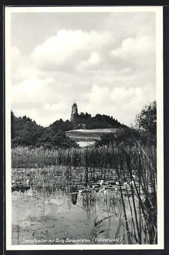AK Berwartstein /Pfälzerwald, Seehofweiher mit Burg Berwartstein
