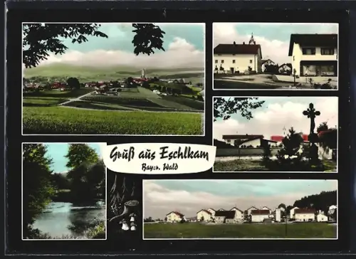 AK Eschlkam /Bayer. Wald, Ortsansichten, Kirche, Weiher, Wegkreuz