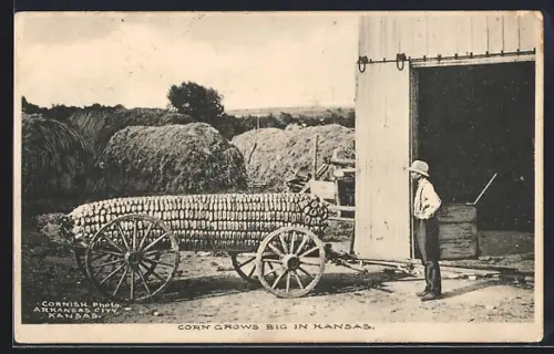 AK Riesiger Maiskolben auf einem Karren, Corn grows big in Kansas