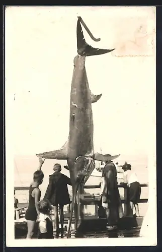 Foto-AK Fischer haben einen grossen Fang an Bord geholt