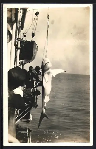 Foto-AK Fischer holen ihren Fang aus dem Wasser