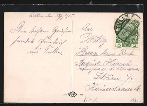 AK Tulln /N.-Oe., Gasthaus zum Wienerthor v. Franz Sedlmeyer, Wienerstrasse