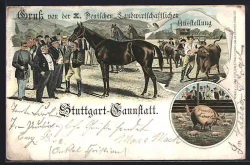Lithographie Stuttgart-Cannstadt, X. Deutsche landwirtschaftl. Ausstellung, Rindervorführung, Pferdehändler, Muttersau