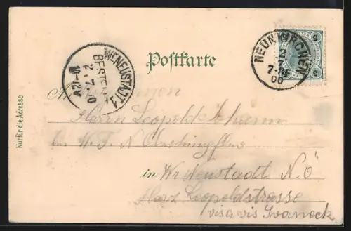 Lithographie Neunkirchen /N. Ö., Restauration z. gold. Birne, Stadtplatz, Rathaus