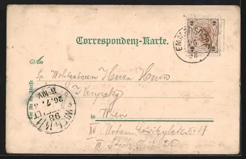 Lithographie Emmersdorf a. Donau, Stift Melk, Schönbühel, Ortsansicht