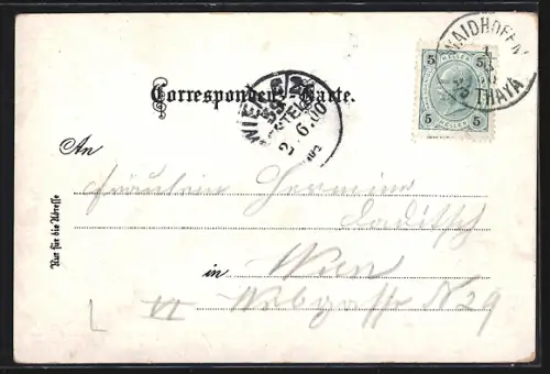 Lithographie Waidhofen a. d. Thaya, Ortsansicht aus der Vogelschau