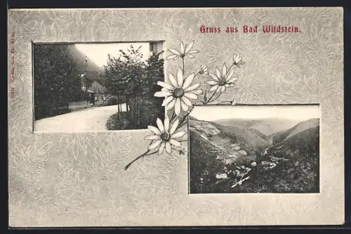 AK Bad Wildstein, Teilansicht, Ortspartie, Gänseblumen, Passepartout