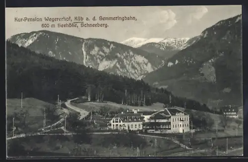 AK Küb a. d. Semmeringbahn, Kur-Pension Wegererhof, Schneeberg