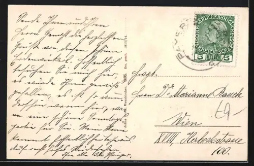 AK Küb a. d. Semmeringbahn, Kur-Pension Wegererhof, Schneeberg