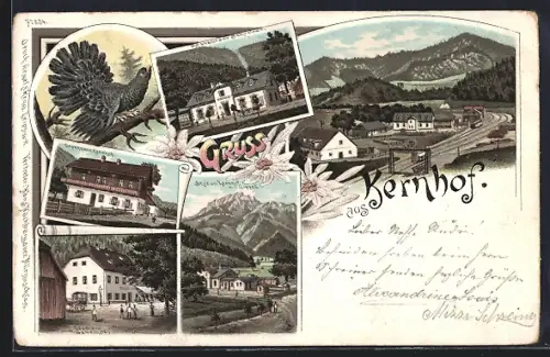 Lithographie Kernhof, Restaurant Schreiner, Gasthaus, Ortsansicht