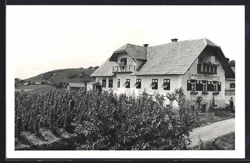 AK Radkersburg, Gasthaus zur Klöcher-Perle von August u. Hilde Palz