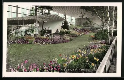 AK Berlin, Grüne Woche 1956, Blumenbeete