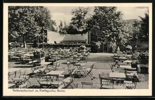 AK Berlin, Zoologischer Garten, Gartenrestaurant, Budapester Strasse 20
