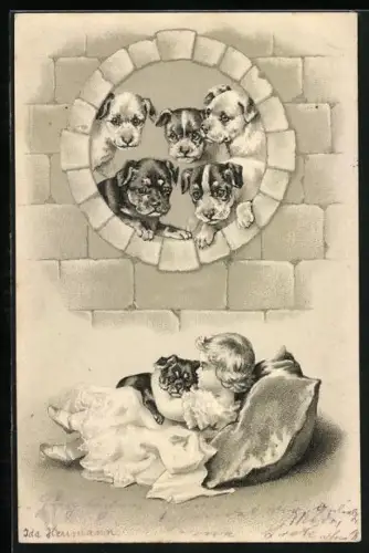 AK Kleines Mädchen spielt mit Hundewelpen