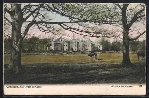 AK Chesters, Panorama