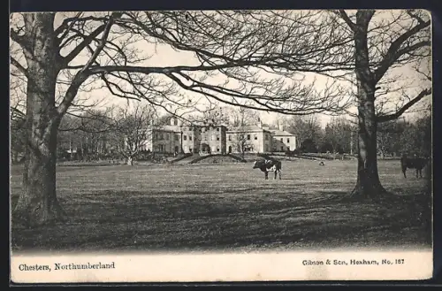 AK Chesters, Panorama