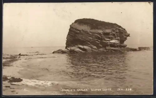 AK Seaton Sluice, Charlies Garden