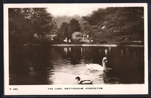 AK Nottingham, Arboretum, The Lake