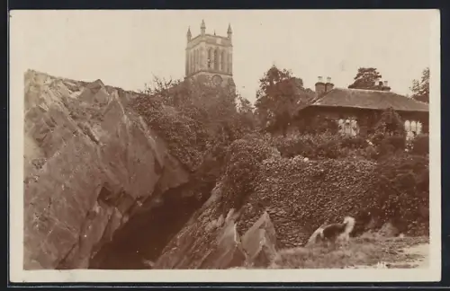 AK Woodhouse Eaves, Dog on the path to the estate
