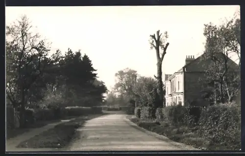 AK Bushby, Street View