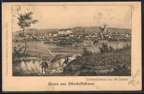 AK Oberhollabrunn, Totalansicht