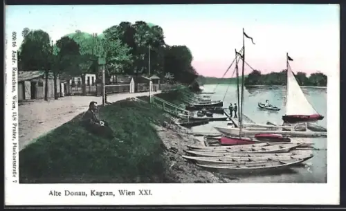 AK Wien-Kagran, Alte Donau, Uferweg und Ufer mit Booten