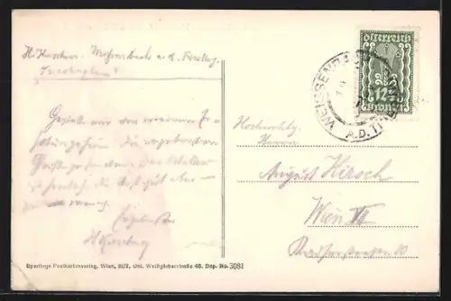 AK Weissenbach a. d. Triesting, Ortsansicht aus der Vogelschau