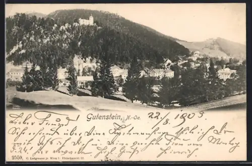 AK Gutenstein /N.-Oe., Teilansicht mit Ruine