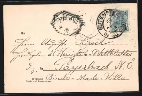 AK Gutenstein /N.-Oe., Teilansicht mit Ruine