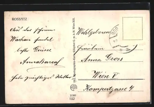 AK Rossatz, Teilansicht mit Bergen