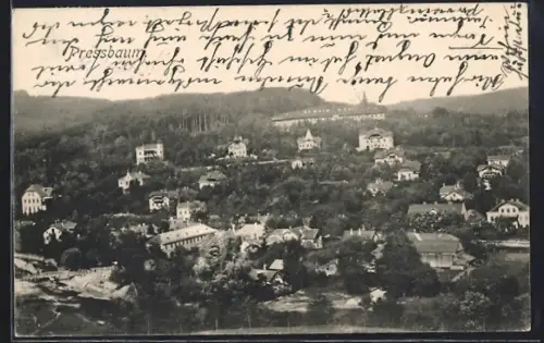 AK Pressbaum, Teilansicht mit Pensionat