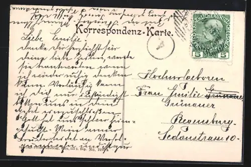 AK Pressbaum, Teilansicht mit Pensionat