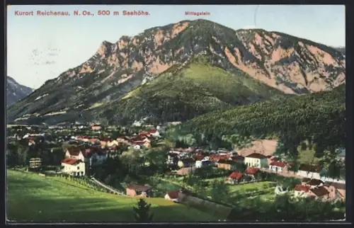 AK Reichenau /N. Oe., Teilansicht mit Mittagstein