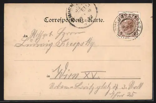 AK Losenstein, Totalansicht, Um 1900