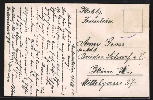 AK Gutenstein /N.-Ö., Totalansicht im Tal