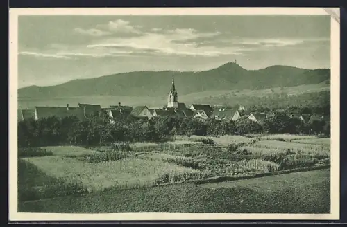 AK Bissingen / Teck, Panorama mit der Kirche