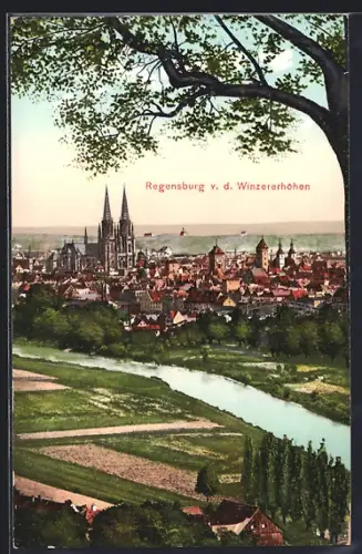 AK Regensburg, Ansicht mit Dom v. d. Winzerhöhen