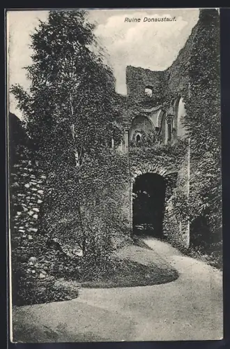 AK Donaustauf, Blick auf die Ruine