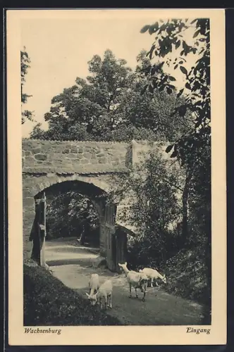 AK Wachsenburg, Eingang zur Veste Wachsenburg