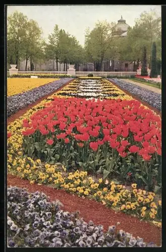 AK Dresden, Gartenbau-Ausstellung 1926, Frühlingsblumen am Haupteingang