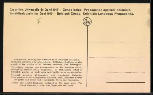 AK Gand, Exposition Universelle 1913, Congo belge, Propagande agricole coloniale