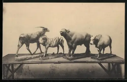 AK Gand, Exposition Universelle 1913, Congo belge, Propagande agricole coloniale