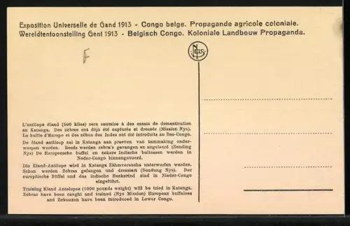 AK Gand, Exposition Universelle 1913, Congo belge, Propagande agricole coloniale