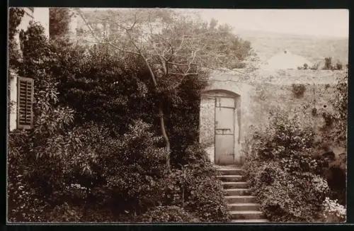 Foto-AK Wien, Partie im Johanneshof