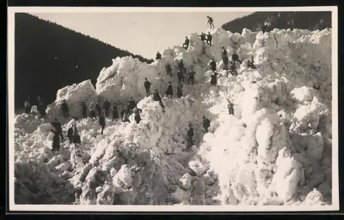 AK St. Aegyd am Neuwalde, Lahnsattel, Lawinenkatastrophe 1923, Menschen auf dem Schnee