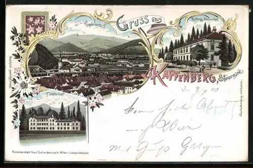 Lithographie Kapfenberg /Steiermark, Curhaus Steinerhof, Fürstenhof, Ortspanorama