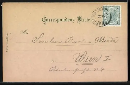 Lithographie Kapfenberg /Steiermark, Curhaus Steinerhof, Fürstenhof, Ortspanorama