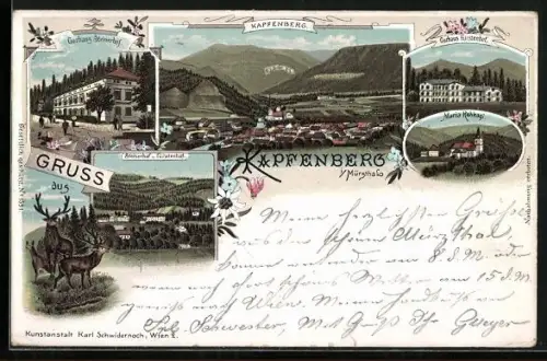 Lithographie Kapfenberg, Teilansicht, Kurhaus Steinerhof, Kurhaus Fürstenhof